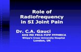 Role of Radiofrequency in SI Joint Pain...SIJ Anatomy Largest true synovial joint, 75% or more maybe fibrous capsule Strong fibrous capsule Adult surface area of 17.5 cm2, volume 0.5