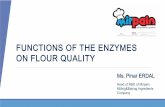 FUNCTIONS OF THE ENZYMES ON FLOUR QUALITY...Wheat flour quality + Additives. 1. Factors Effects on Flour Quality Individual genetic disposition of wheat cultivar Agricultural practices