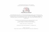 UNIVERSIDAD DE EL SALVADOR - COnnecting REpositories · 2013. 7. 9. · universidad de el salvador facultad de quimica y farmacia determinacion de la concentracion letal 50 (cl50)