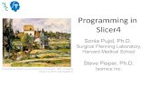 Programming)in) Slicer4) · 2015. 12. 7. · Programming)in) Slicer4) Sonia Pujol, Ph.D. ) Surgical Planning Laboratory Harvard Medical Schoo l Steve Pieper, Ph.D Paul)Cézanne,)Moulin