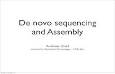 De novo sequencing and Assembly - CGIARhpc.ilri.cgiar.org/beca/training/AdvancedBFX2013_2/Oct... · 2013. 10. 15. · De novo sequencing and Assembly Andreas Gisel Institute for Biomedical