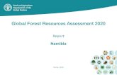 Global Forest Resources Assessment (FRA) 2020 Namibia ...Shrubland-Woodland mosaic Sparse grassland and Shrubland Woodland FRA 2020 report, Namibia 11 Original data and reclassiﬁcation
