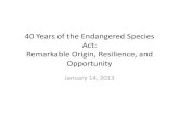 40 Years of the Endangered Species Act: Remarkable Origin ...€¦ · Endangered Species Act of 1973 • Section 9(a)(2) – Included import, export, and interstate/foreign commerce