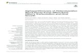 Alphapartitiviruses of Heterobasidion Wood Decay Fungi ...jultika.oulu.fi/files/nbnfi-fe2019100731436.pdfet al., 1997), and Sclerotiniasclerotiorum(Marzano et al., 2015). The interactions