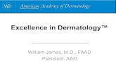 Excellence in Dermatology™az9194.vo.msecnd.net/pdfs/100903/1100.01.pdf · 2010. 10. 5. · Cell Phone - Internet Interface. Teledermatology in Developing World •Standard Internet-based