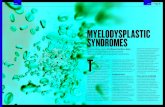 M YELODYSPLASTIC S YNDROMES - The Biomedical ......dyserythropoietic features include nuclear irregularity or lobulation, bi- or multinuclearity and megaloblastosis (nuclear immaturity