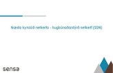 Næsta kynslóð netkerfa - hugbúnaðarstýrð netkerfi (SDN) · 2018. 2. 21. · Nexus 9K and Nexus 3K Customers Globally Ecosystem Partners ACI-Ready Customers NEW ECOSYSTEM $2.2B