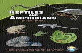 North Dakota Game and Fish - Cover photo credits ......North Dakota’s amphibians are four-legged vertebrates that spend part of their life in water and part on land. Frogs, toads