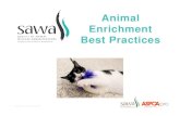 Animal Enrichment Best Practices - ASPCApro · 2020. 5. 7. · Enrichment Defined A process for improving the environment and behavioral care of confined animals within the context