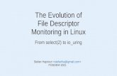 The Evolution of File Descriptor Monitoring in Linux · File descriptor monitoring wakes up all workers, but only one thread can handle the I/O. CPU cycles are wasted waking up other
