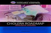 OVERVIEW OF CHOLERA ROADMAP - GTFCC...The Cholera Roadmap Research Agenda identifies knowledge gaps most important to cholera experts and stakeholders and establishes a prioritized
