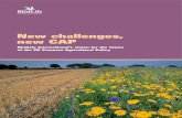 New challenges new CAP - The RSPB challenges new CAP2... · 2016. 12. 15. · New challenges, new CAP BirdLife International’s vision for the future of the EU Common Agricultural
