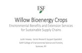Willow Bioenergy Crops - ESF · 2016. 4. 27. · Wildlife Habitat and Biodiversity Birds and small mammals • (Campbel et al. 2012) Bees and other pollinators • (Tumminello and
