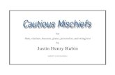 for flute, clarinet, bassoon, piano, percussion, and string trio by …jrubin1/pJHR Cautious Mischiefs.pdf · 2016. 5. 29. · flute, clarinet, bassoon, piano, percussion, and string