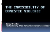 The Invisibility of Domestic Violence - Leadership Fairfax, Inc. · 2014. 5. 19. · Every month in Fairfax County… Domestic violence hotlines receive almost 260 calls Victims request