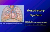 Respiratory MD Program/RespSeminar2019.pdf Mechanics of Breathing and Lung (Elastic) Recoil Respiratory System . Airways and Airway Resistance (AWR) ... Guyton and Hall Textbook of