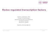 Redox regulated transcription factorsgenomics.unl.edu/RBC_2015/COURSE_FILES/tue2.pdf · 2015. 5. 19. · Redox regulated transcription factors Katarina Johansson, PhD Division of