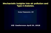 Mechanistic insights into air pollution and Type 2 diabetes. · 58-year-old patient with Type 2 Diabetes Mellitus (T2DM): HbA 1c =7.5 and Blood Pressure (BP)=135/80 10-year Cardiovascular