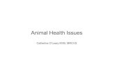 Animal Health Issues - Teagasc ... 2010/09/27 آ  Intervet/Schering-Plough Animal Health A cross-section