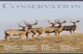 Co n s e r v a t i o n FALL/WINTER 2008, VOLUME 11€¦ · Co n s e r v a t i o n The official publication of the Alberta Conservation Association FALL/WINTER 2008, VOLUME 11 Hunters,