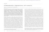 Chromatin signatures of cancer - Genes & Developmentgenesdev.cshlp.org/content/29/3/238.full.pdfimportant for regulating PRC2 catalytic activity (Bajusz et al. 2001; Stepanik and Harte