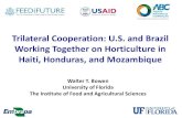 Trilateral Cooperation: U.S. and Brazil Working Together on Horticulture in … · 2018. 3. 3. · Trilateral Cooperation: U.S. and Brazil Working Together on Horticulture in . Haiti,