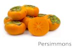 Persimmons - Texas A&M AgriLifecounties.agrilife.org/leon/files/2020/04/Persimmons.pdf•American Persimmon •Grows wild in the South and reaches as far west at the Colorado River
