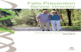 Falls Prevention · The Falls Prevention Service Directory is an important resource for health professionals working with older adults who are at risk of falls. This directory aims