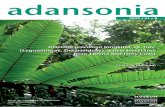 adansonia - Muséum national d'Histoire naturellesciencepress.mnhn.fr/sites/default/files/articles/hd/a...É. A. Rakotobe (Centre d’Applications des Recherches pharmaceutiques, Antananarivo)