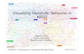 Visualizing Metabolic Networks in KEGG · 2011. 7. 13. · Visualizing Metabolic Networks in KEGG Susumu Goto Kyoto University Bioinformatics Center VIZBI2011: Workshop on Visualizing