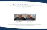 The Scrum Guide...Ghidul Scrum. Acest document este traducerea în limba română a Ghidului Scrum. Definiția Scrum Scrum (n): un cadru de lucru în care se pot rezolva probleme de