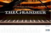 THE GRANDEUR Manual English - Native Instruments...We picked this Steinway D because of its extraordi narily assertive and bright timbre that develops a very clear and precise, thus