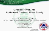PRESENTATION ON GRASSE RIVER, NY, ACTIVATED CARBON …Use of Activated Carbon Amendment as an In situ Sediment Remedy at the Lower Duwamish Waterway EPA Region 10 Sponsored Technical