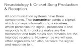 Neurobiology I: Cricket Song Production & Reception · 2014. 10. 21. · Neurobiology I: Cricket Song Production & Reception All communication systems have three components. The transmitter