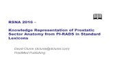 RSNA 2016 – Knowledge Representation of Prostatic Sector ......RSNA 2016 – Knowledge Representation of Prostatic Sector Anatomy from PI-RADS in Standard Lexicons David Clunie (dclunie@dclunie.com)