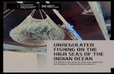 UNREGULATED FISHING ON THE HIGH SEAS OF THE INDIAN … · 2020. 10. 28. · UNREGULATED FISHING ON THE HIGH SEAS OF THE INDIAN OCEAN 5 Indian Ocean fisheries are some of the most
