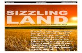JULY 2008 PUBLICATION 1868 Land Markets · 2015. 8. 11. · JULY 2008 PUBLICATION 1868 A Reprint from Tierra Grande Land Markets Overall, Texas land markets increased robustly in