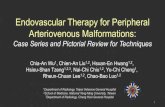 Endovascular Therapy for Peripheral Arteriovenous … Wu...Endovascular Therapy for Peripheral Arteriovenous Malformations: Case Series and Pictorial Review for Techniques Chia-An
