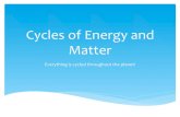 Cycles of Energy and Matter - Mr. Raupe's Biologydraupe.weebly.com/.../cycles_of_energy_and_matter.pdf · 2018. 9. 2. · Cycles of Energy and Matter Everything is cycled throughout