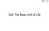 Cell: The Basic Unit of Life - Amazon Web Services · 2020. 10. 30. · The Cell Theory 1. A cell is the structural and functional unit of all living organisms. 2. All the living