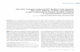 The Paf1 Complex Subunit Rtf1 Buffers Cells Against the ... · LSM2, and RNQ1. The open reading frames and 39 UTR sequences of URE2, LSM4, LSM2, and RNQ1 were ampliﬁed by PCR from