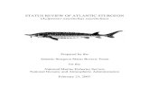2007 Status Review of Atlantic Sturgeon (Acipenser ......Atlantic sturgeon captured by dredge type as reported by the U.S. Army Corps of Engineers for the U.S. East Coast from 1990
