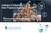 Catalogue of Advanced 47 Ag · 2021. 3. 10. · Catalogue of Advanced Silver Projects in Argentina 47 Ag Silver 107.868 79 Au Gold 196.967 Secretaría de Minería 2020. Disclaimer