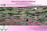 Audit of emerging environment issues•Wetlands, and in particular marshes, play a major role in treating and detoxifying wastes. •Natural wetlands, such as riparian wetlands, reduce