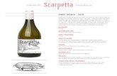 PINOT GRIGIO - 2019 - Scarpetta Wine...VINE TRAINING Guyot VINIFICATION The grapes are fermented in stainless steel after being de-stemmed and left on the skins for approximately 12