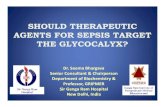 SHOULD THERAPEUTIC AGENTS FOR SEPSIS TARGET THE GLYCOCALYX? · 2015. 10. 7. · Burns Trauma Pancreatitis Other SIRS Systemic Inflammatory Response Syndrome (SIRS)/Sepsis Criteria