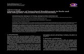 Clinical Study Clinical Efficacy of Intravitreal Ranibizumab in ...Idiopathic choroidal neovascularization (ICNV) occurs in patients younger than years without any other predispo-sition
