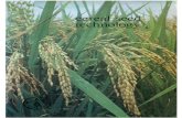 Cereal Seed Technology: A manual of Cereal seed production, … · 2021. 2. 8. · Seed technology comprises the methods of improving the genetic and physical characteristics of seed.