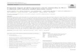 Prognostic impact of CD73 expression and its relationship to PD-L1 … · 2020. 7. 16. · ORIGINAL ARTICLE Prognostic impact of CD73 expression and its relationship to PD-L1 in patients