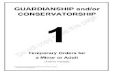 GUARDIANSHIP and/or CONSERVATORSHIP 1 · 2017. 6. 9. · Other Guardianship or Conservatorship cases with court orders ... promise I will give notice by personal service to the person